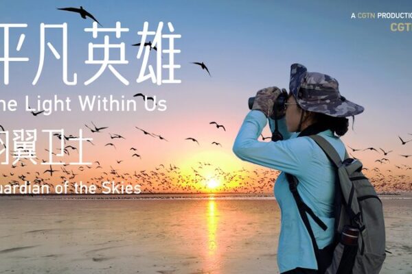 Guardians of the Skies: Protecting China’s Bird Paradise in the Yellow River Delta Guardians_of_the_Skies__Protecting_China_s_Bird_Paradise_in_the_Yellow_River_Delta video poster
