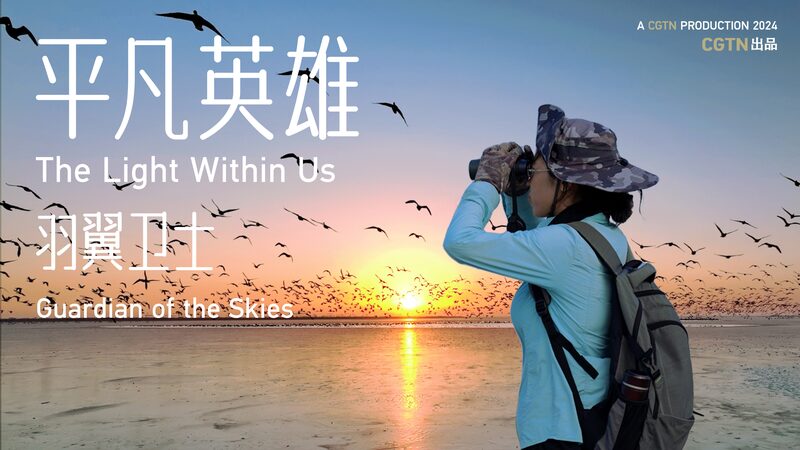 Guardians_of_the_Skies__Protecting_China_s_Bird_Paradise_in_the_Yellow_River_Delta_poster - News for amigos, by amigos Guardians_of_the_Skies__Protecting_China_s_Bird_Paradise_in_the_Yellow_River_Delta video poster