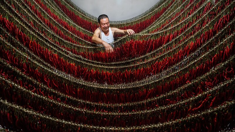 Guizhou_s_Fiery_Harvest__A_Celebration_of_Dafang_s_Famous_Peppers___ - News for amigos, by amigos Guizhou_s_Fiery_Harvest__A_Celebration_of_Dafang_s_Famous_Peppers___