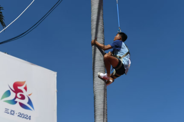 Hainan_Dominates_Coconut_Tree_Climbing_at_12th_National_Ethnic_Games___ video poster