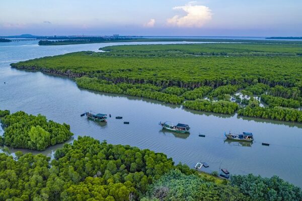 Hainan’s Mangrove Comeback: A Green Revival 🌿 Hainan_s_Mangrove_Comeback__A_Green_Revival__ video poster