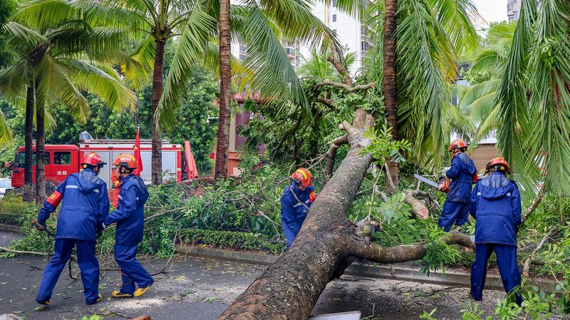 Hainan_s_Road_to_Recovery__Rebuilding_After_Super_Typhoon_Yagi video poster
