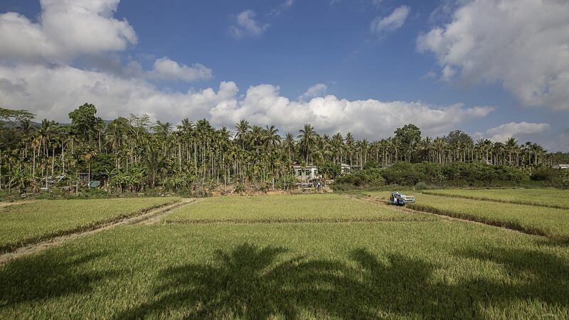 Hainan_s_Tropical_Expertise_Blossoms_in_Africa____poster - News for amigos, by amigos Hainan_s_Tropical_Expertise_Blossoms_in_Africa___ video poster