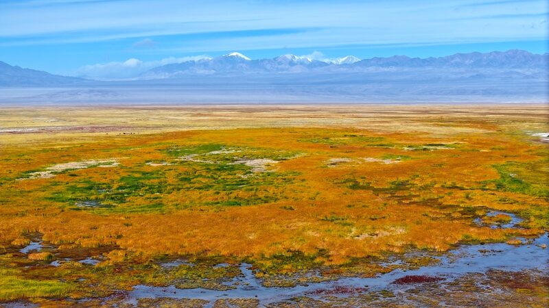 Haizi_Grassland_Shimmers_Gold__Gansu_s_Autumn_Wonderland - News for amigos, by amigos Haizi_Grassland_Shimmers_Gold__Gansu_s_Autumn_Wonderland