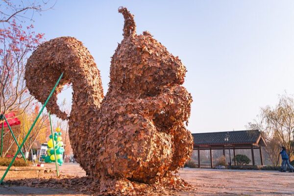 Hangzhou Students Turn Fallen Leaves into Stunning Art at Leaf Art Festival Hangzhou_Students_Turn_Fallen_Leaves_into_Stunning_Art_at_Leaf_Art_Festival