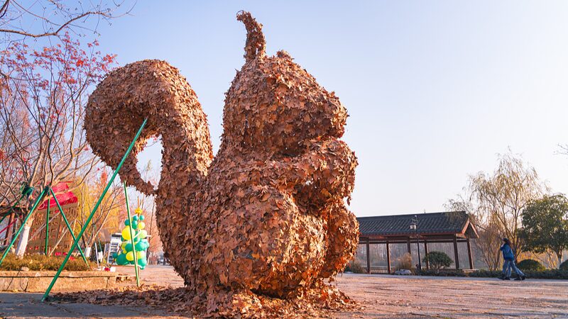 Hangzhou_Students_Turn_Fallen_Leaves_into_Stunning_Art_at_Leaf_Art_Festival