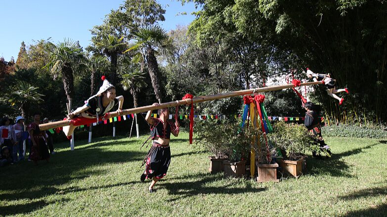 Hani_New_Year_Lights_Up_Yunnan_with_Bamboo_Dances_and_Joy__