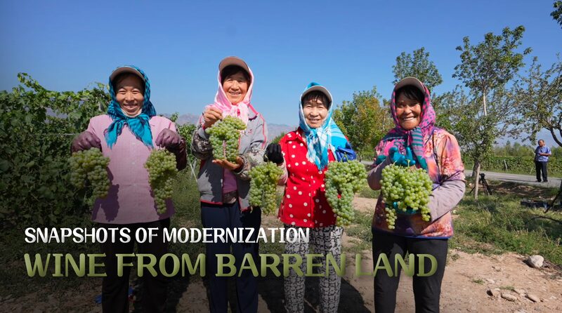 Haoyuan_Village_Turns_Desert_Into_Wine_Oasis____poster - News for amigos, by amigos Haoyuan_Village_Turns_Desert_Into_Wine_Oasis___ video poster