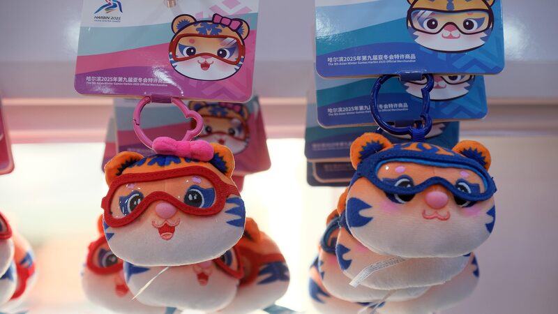 Harbin_Ready_to_Wow_Tourists_at_Asian_Winter_Games___ video poster