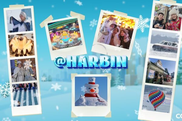 Harbin’s Winter Wonder: How China’s ‘Ice City’ Became a Must-Visit Destination ❄️ Harbin_s_Winter_Wonder__How_China_s__Ice_City__Became_a_Must_Visit_Destination___