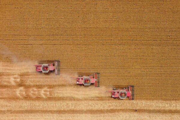 Harvest Season in Henan: How Tech is Boosting China’s Wheat Production 🌾 Harvest_Season_in_Henan__How_Tech_is_Boosting_China_s_Wheat_Production__ video poster