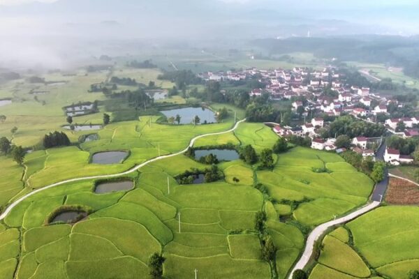 🌾 Harvest Time in Anhui: Xinglong’s Stunning Rice Terraces Shine! __Harvest_Time_in_Anhui__Xinglong_s_Stunning_Rice_Terraces_Shine_ video poster