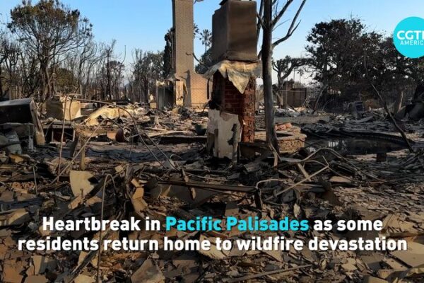 Heartbreak in Pacific Palisades: Residents Return to Ashes After Wildfires 💔 Heartbreak_in_Pacific_Palisades__Residents_Return_to_Ashes_After_Wildfires__ video poster