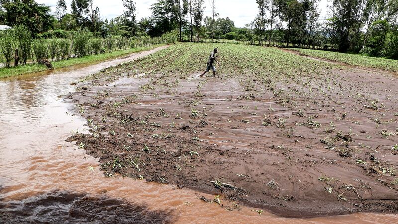 Heavy_Rains_Turn_Kenyan_Farmers__Blessings_into_Nightmares - News for amigos, by amigos Heavy_Rains_Turn_Kenyan_Farmers__Blessings_into_Nightmares