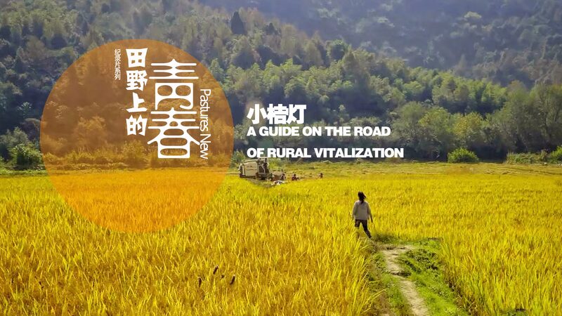 Homeward_Bound__90s_Youth_Spark_Revival_in_Dashi_Village_poster - News for amigos, by amigos Homeward_Bound__90s_Youth_Spark_Revival_in_Dashi_Village video poster