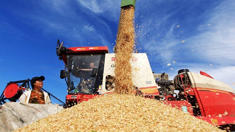 How_Agricultural_Insurance_is_Protecting_China_s_Farmers_and_Harvests__ - News for amigos, by amigos How_Agricultural_Insurance_is_Protecting_China_s_Farmers_and_Harvests__