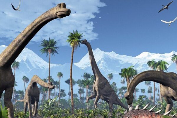 How Dino Poop and Vomit Unveiled the Rise of Dinosaurs 🦖💩 How_Dino_Poop_and_Vomit_Unveiled_the_Rise_of_Dinosaurs___