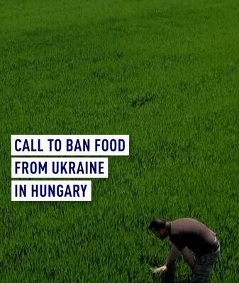 Hungarian Farmers Struggle as Ukrainian Imports Flood EU Markets 🌾 Hungarian_Farmers_Struggle_as_Ukrainian_Imports_Flood_EU_Markets__ video poster