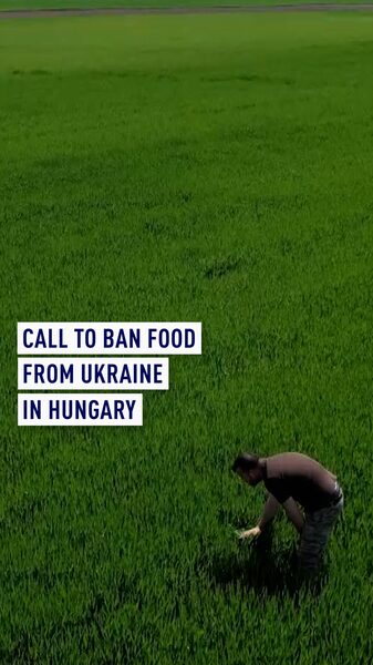 Hungarian_Farmers_Struggle_as_Ukrainian_Imports_Flood_EU_Markets__ video poster