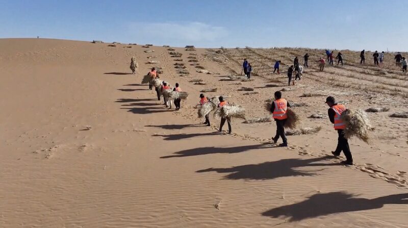 Inner_Mongolia_s_Green_Transformation__Turning_Deserts_into_Oases_____ video poster