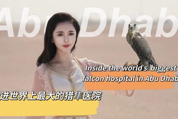 Inside Abu Dhabi’s Falcon Hospital: VIP Treatment for Feathered Royals 🦅 Inside_Abu_Dhabi_s_Falcon_Hospital__VIP_Treatment_for_Feathered_Royals__ video poster