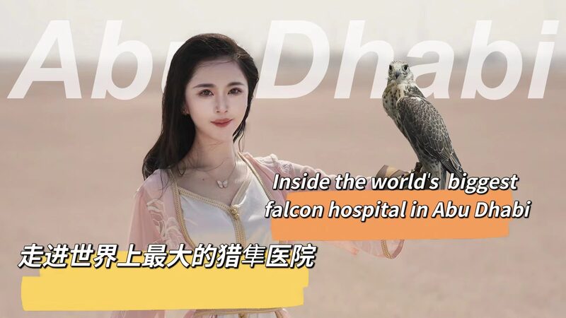 Inside_Abu_Dhabi_s_Falcon_Hospital__VIP_Treatment_for_Feathered_Royals___poster - News for amigos, by amigos Inside_Abu_Dhabi_s_Falcon_Hospital__VIP_Treatment_for_Feathered_Royals__ video poster
