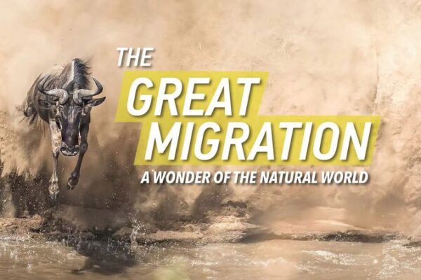 Inside Africa’s Great Migration: Nature’s Epic Journey 🦓🌍 Inside_Africa_s_Great_Migration__Nature_s_Epic_Journey___ video poster