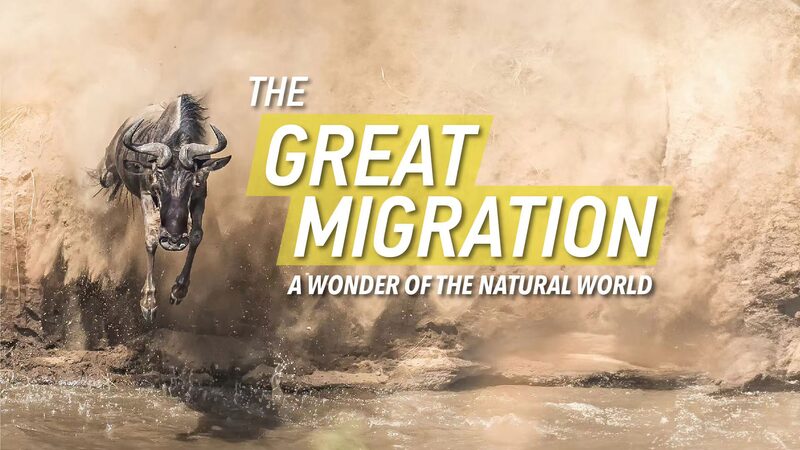 Inside_Africa_s_Great_Migration__Nature_s_Epic_Journey____poster - News for amigos, by amigos Inside_Africa_s_Great_Migration__Nature_s_Epic_Journey___ video poster