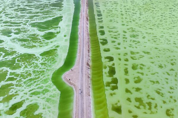 Jade Lake: The Emerald Gem Shimmering in Qinghai’s Desert 🌿✨ Jade_Lake__The_Emerald_Gem_Shimmering_in_Qinghai_s_Desert___