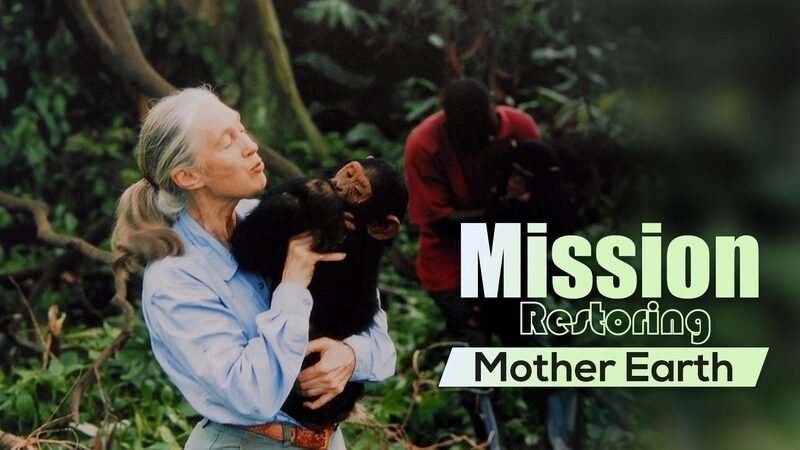 Jane_Goodall_at_90__Inspiring_Generations_with_Hope_and_Action_poster - News for amigos, by amigos Jane_Goodall_at_90__Inspiring_Generations_with_Hope_and_Action video poster