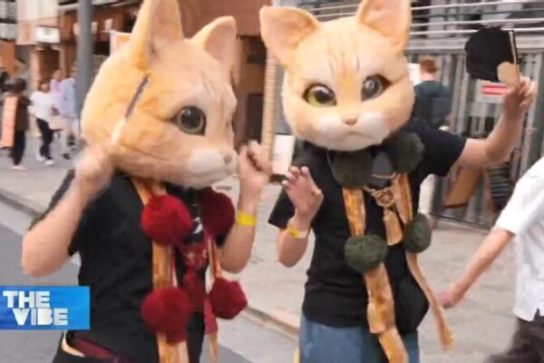 Japan’s Kagurazaka Bakeneko Parade: 15 Years of Supernatural Cat Celebrations Japan_s_Kagurazaka_Bakeneko_Parade__15_Years_of_Supernatural_Cat_Celebrations video poster