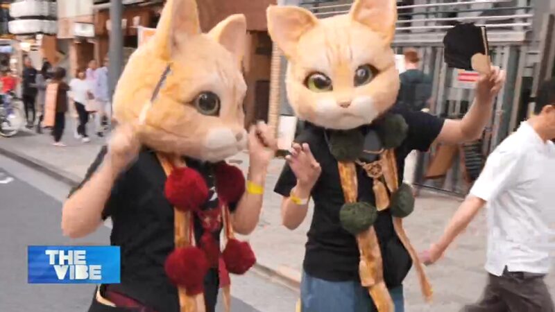 Japan_s_Kagurazaka_Bakeneko_Parade__15_Years_of_Supernatural_Cat_Celebrations_poster - News for amigos, by amigos Japan_s_Kagurazaka_Bakeneko_Parade__15_Years_of_Supernatural_Cat_Celebrations video poster