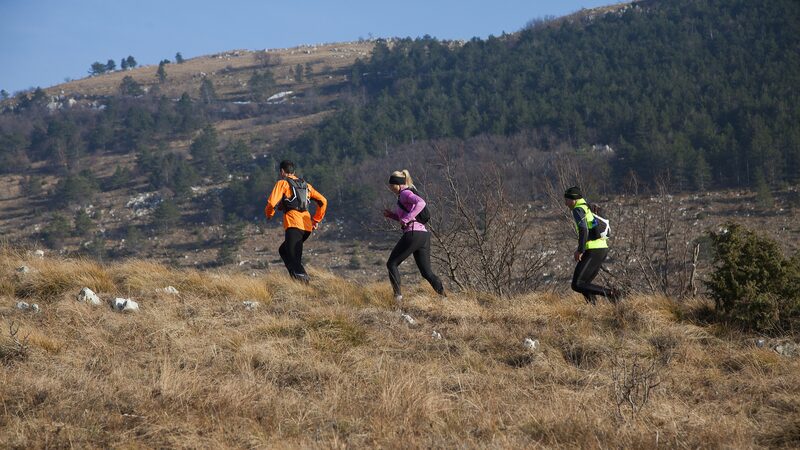 Jasmin_Paris_Becomes_First_Woman_to_Finish_the_Barkley_Marathons_in_a_Thrilling_Race - News for amigos, by amigos Jasmin_Paris_Becomes_First_Woman_to_Finish_the_Barkley_Marathons_in_a_Thrilling_Race