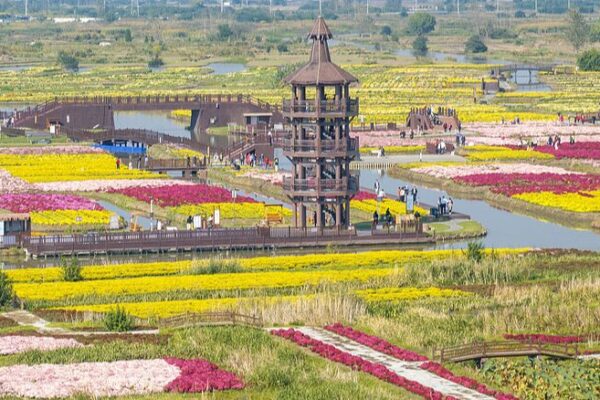 Jiangsu’s Qianduo Blooms: A Floral Wonderland 🌸 Jiangsu_s_Qianduo_Blooms__A_Floral_Wonderland__