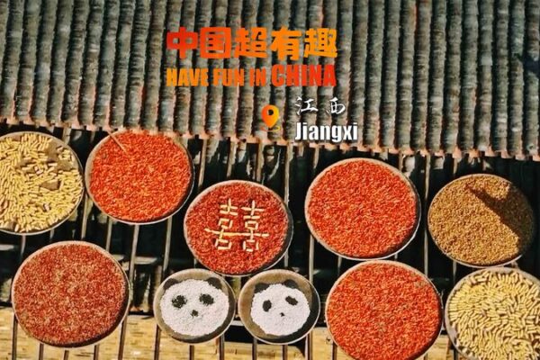 Jiangxi Villagers Wow with Vibrant Crop Art 🌶️🌾 Jiangxi_Villagers_Wow_with_Vibrant_Crop_Art____ video poster