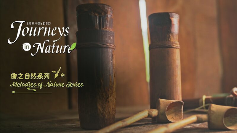 Jinuo_Beats__Bamboo_Melodies_from_China_s_Deep_Mountains___poster - News for amigos, by amigos Jinuo_Beats__Bamboo_Melodies_from_China_s_Deep_Mountains__ video poster