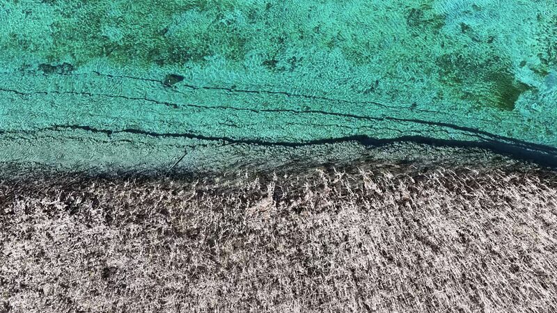 Jiuzhaigou__China_s_Enchanting_Rainbow_Paradise__ video poster