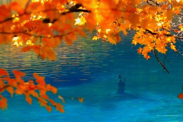 Jiuzhaigou’s Autumn Magic: A High-Speed Journey into Nature’s Masterpiece Jiuzhaigou_s_Autumn_Magic__A_High_Speed_Journey_into_Nature_s_Masterpiece video poster