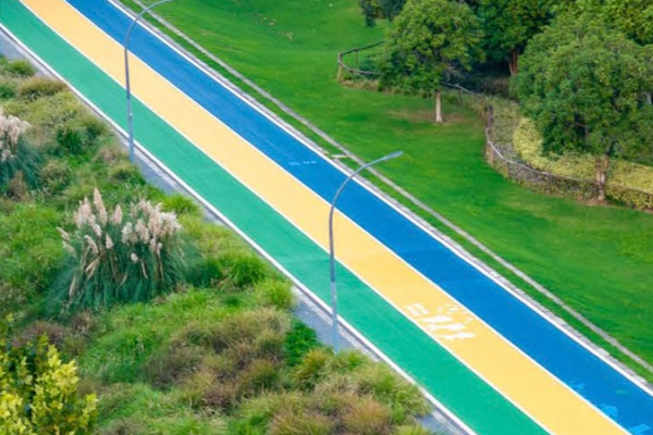 Jogging through Nanjing: A Colorful Run with Ethiopian Enthusiast Jogging_through_Nanjing__A_Colorful_Run_with_Ethiopian_Enthusiast