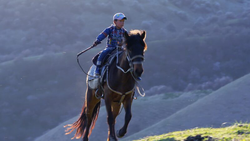 Journey_of_a_Young_Nomad__Aybulan_s_First_Ride_in_the_Tianshan_Foothills video poster