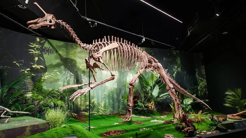 Jurassic_Journey__Beijing_s_Dinosaur_Exhibit_Promotes_Sustainability - News for amigos, by amigos Jurassic_Journey__Beijing_s_Dinosaur_Exhibit_Promotes_Sustainability