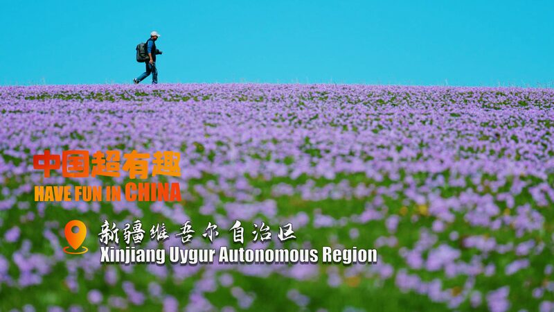 Kalajun_Grasslands__Xinjiang_s_Spectacular_Blooming_Paradise_poster - News for amigos, by amigos Kalajun_Grasslands__Xinjiang_s_Spectacular_Blooming_Paradise video poster