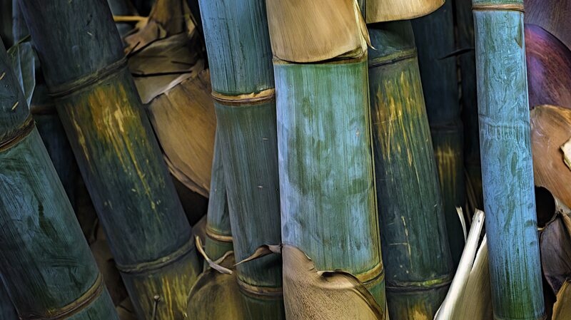 Kenya_Plants_Bamboo_with_China_s_Help_to_Fight_Floods___ - News for amigos, by amigos Kenya_Plants_Bamboo_with_China_s_Help_to_Fight_Floods___