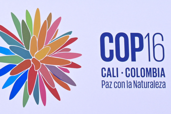 Kunming Biodiversity Fund Approves 9 New Projects at COP16 🎉 Kunming_Biodiversity_Fund_Approves_9_New_Projects_at_COP16__