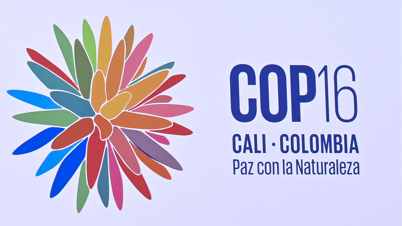 Kunming_Biodiversity_Fund_Approves_9_New_Projects_at_COP16__ - News for amigos, by amigos Kunming_Biodiversity_Fund_Approves_9_New_Projects_at_COP16__