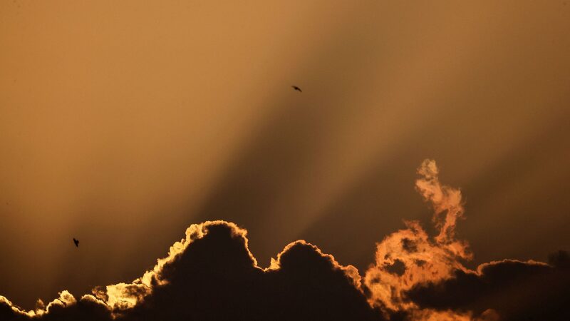 Kuwait_Swelters_as_Temperatures_Soar_Above_50_C_ - News for amigos, by amigos __Kuwait_Swelters_as_Temperatures_Soar_Above_50_C_