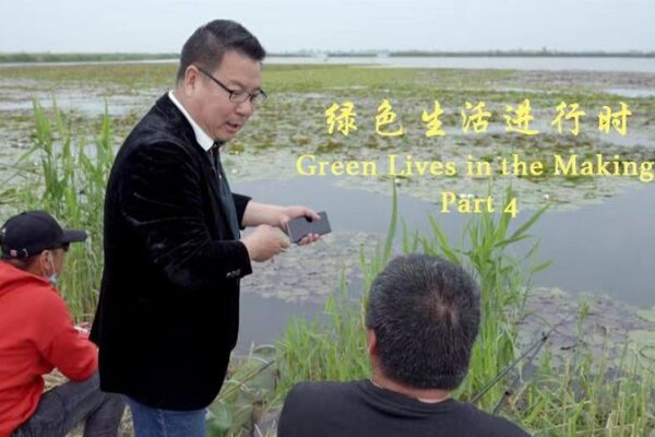 Lake Baiyangdian Shines Again: A Tale of Eco-Revival 🌿✨ Lake_Baiyangdian_Shines_Again__A_Tale_of_Eco_Revival___ video poster