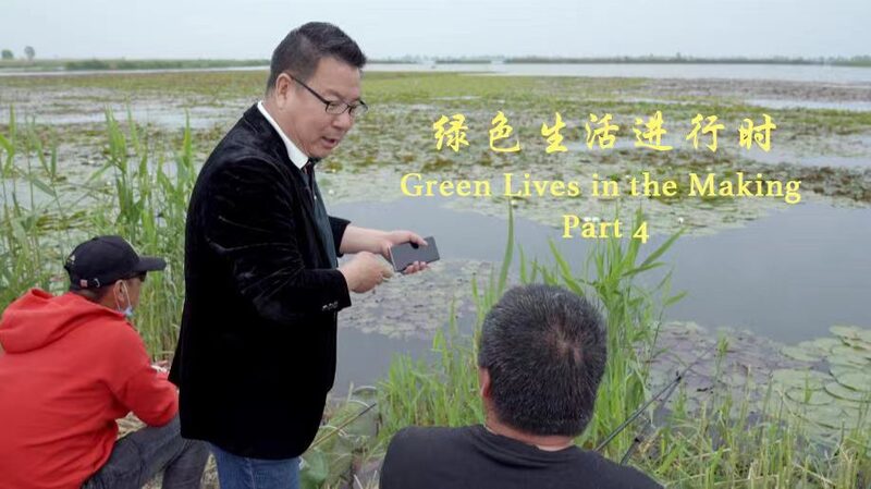 Lake_Baiyangdian_Shines_Again__A_Tale_of_Eco_Revival___ video poster