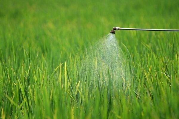 Laos Teams Up with UN to Cut Down Harmful Pesticides 🌱🚫 Laos_Teams_Up_with_UN_to_Cut_Down_Harmful_Pesticides___