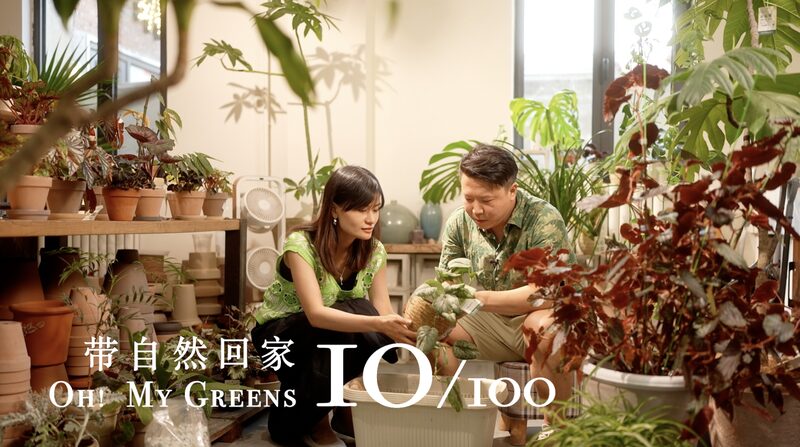 Liang_Si_s_Summer_Battle__Saving_a_Dying_Tropical_Plant_with_Mr_Cheng__ video poster